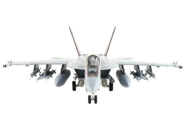 Boeing F/A-18E Super Hornet Fighter Aircraft "VFA-31 'Tomcatters'"
