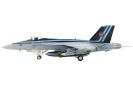 Boeing F/A-18E Super Hornet Fighting Aircraft "Top Gun NAS Fallon" (2020)