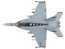 Boeing F/A-18F Super Hornet Fighter Aircraft "VFA-122 Flying Eagles" (2022)