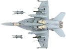 Boeing F/A-18F Super Hornet Fighter Aircraft "VFA-122 Flying Eagles" (2022)