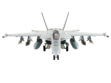 Boeing F/A-18F Super Hornet Fighter Aircraft "VFA-122 Flying Eagles" (2022)